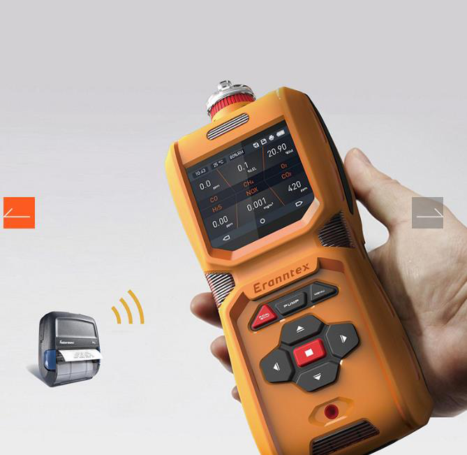 MS600便携式气体检测仪 MS600便携式气体检测仪